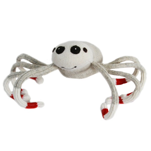 Spider Monkey