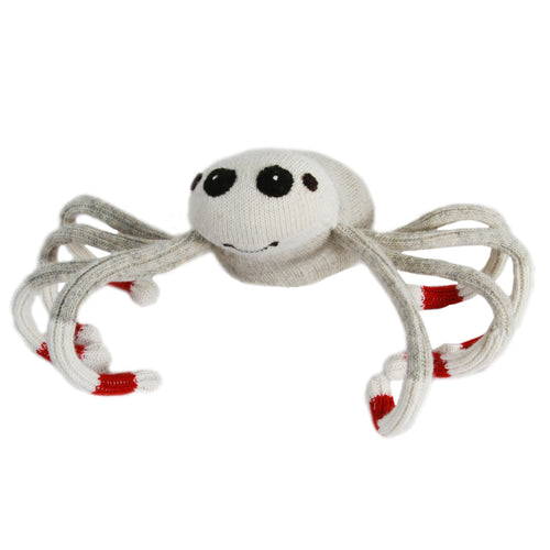 Spider Monkey